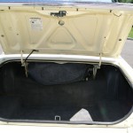 ltd trunk